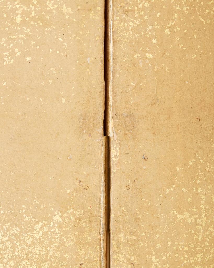 Pair of Japanese Edo Rinpa School Screens after Sostesu