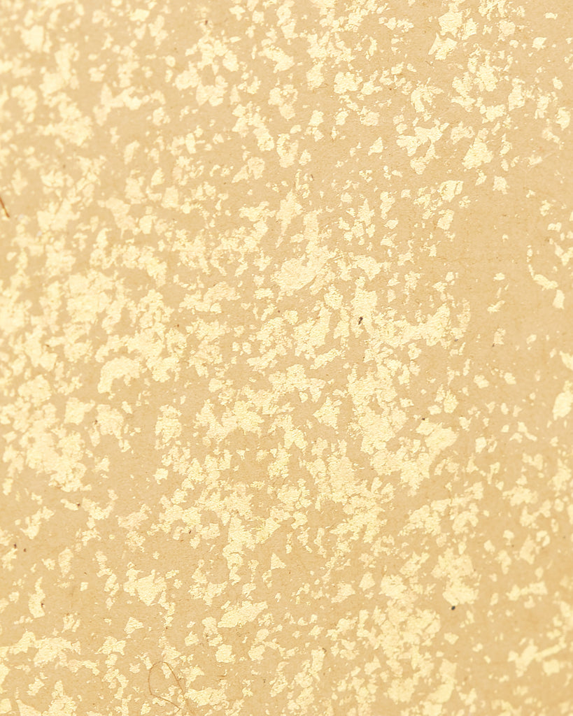 Pair of Japanese Edo Rinpa School Screens after Sostesu