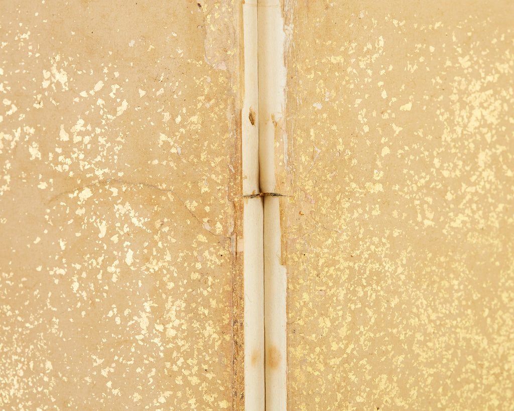 Pair of Japanese Edo Rinpa School Screens after Sostesu