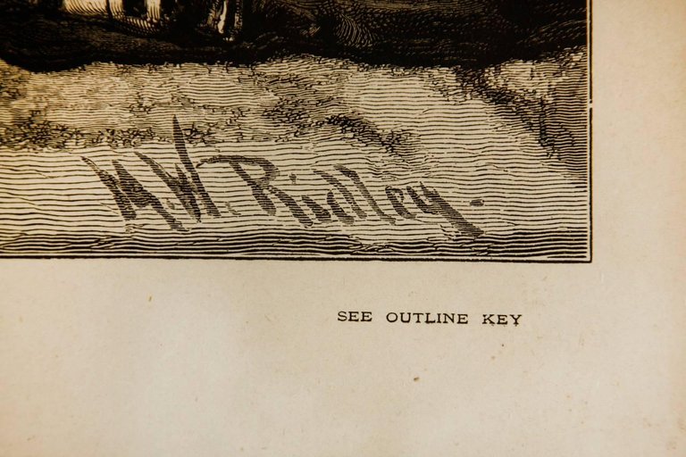 Her Majesty Queen Victoria and Members of the Royal Family Engraving