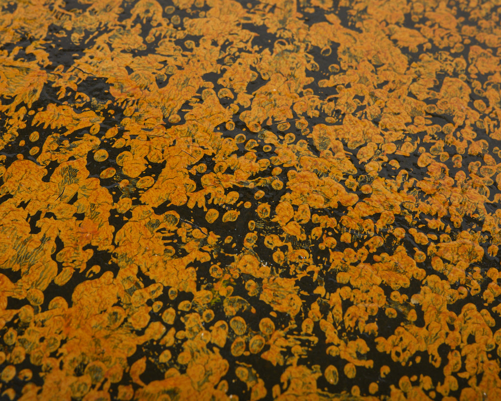 Queen Anne Style Cupboard Mustard Speckled by Ira Yeager