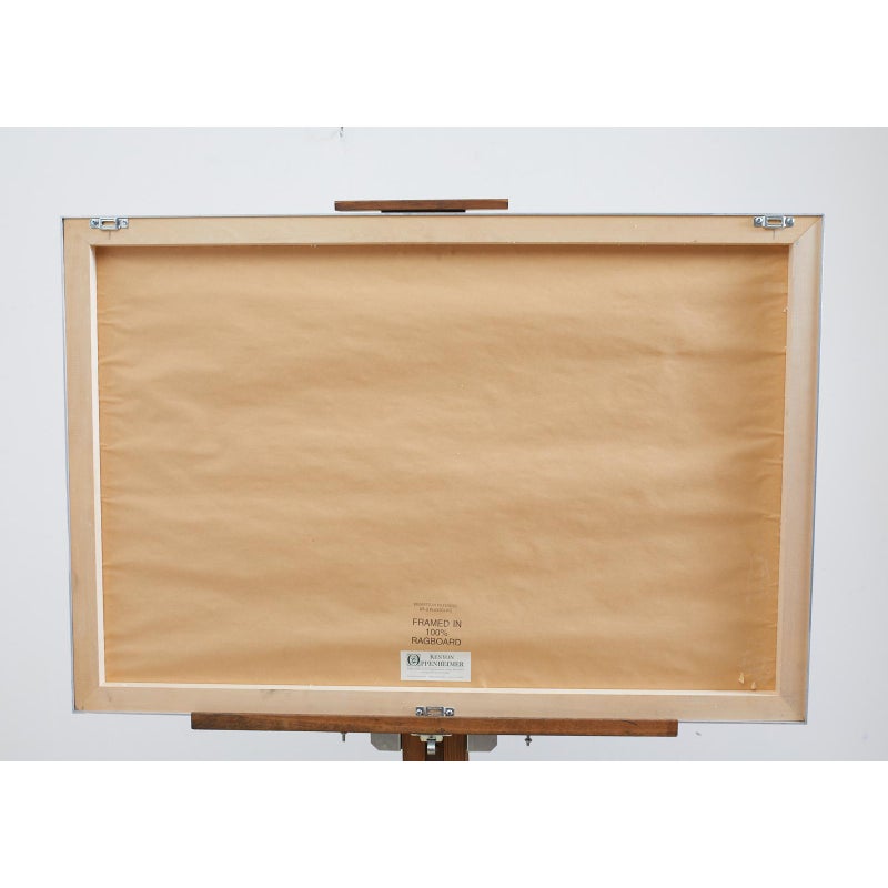 Audubon Eider Duck Plate #246 Havell Oppenheimer Edition