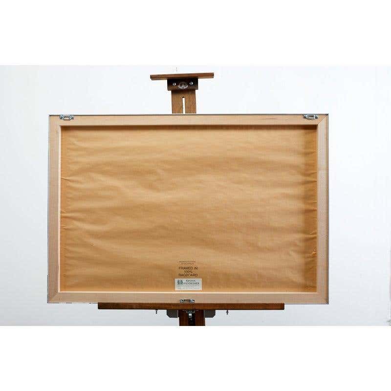 Wild Turkey Plate #6 Havell Oppenheimer Edition