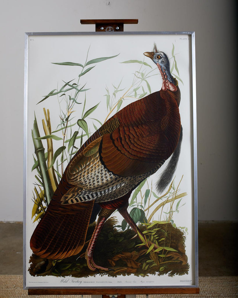 Wild Turkey Plate #1 Havell Oppenheimer Edition