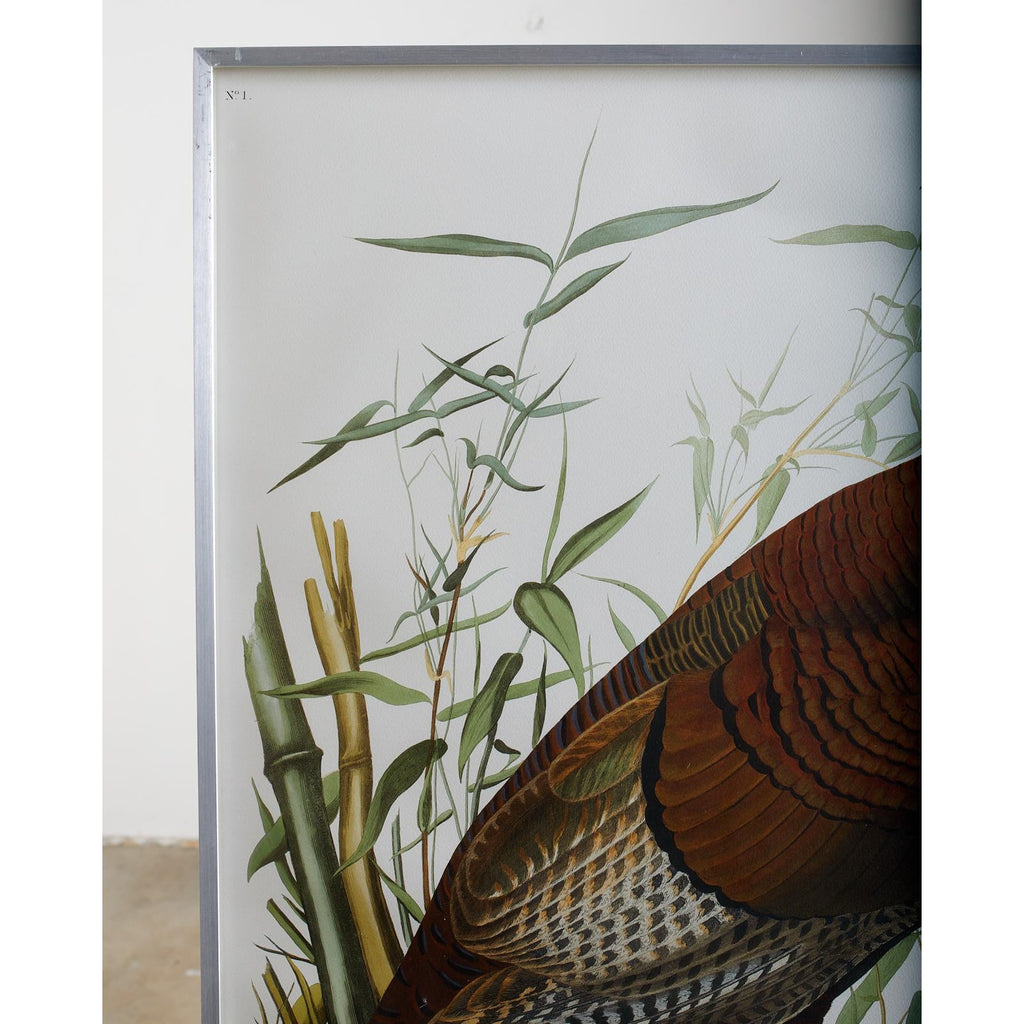 Wild Turkey Plate #1 Havell Oppenheimer Edition