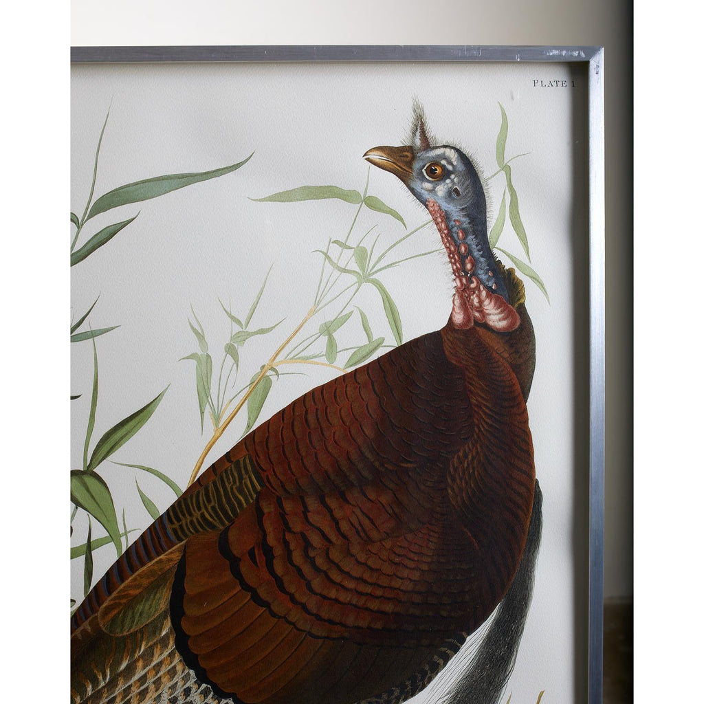 Wild Turkey Plate #1 Havell Oppenheimer Edition