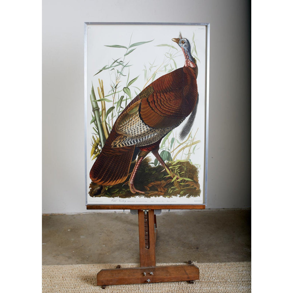 Wild Turkey Plate #1 Havell Oppenheimer Edition