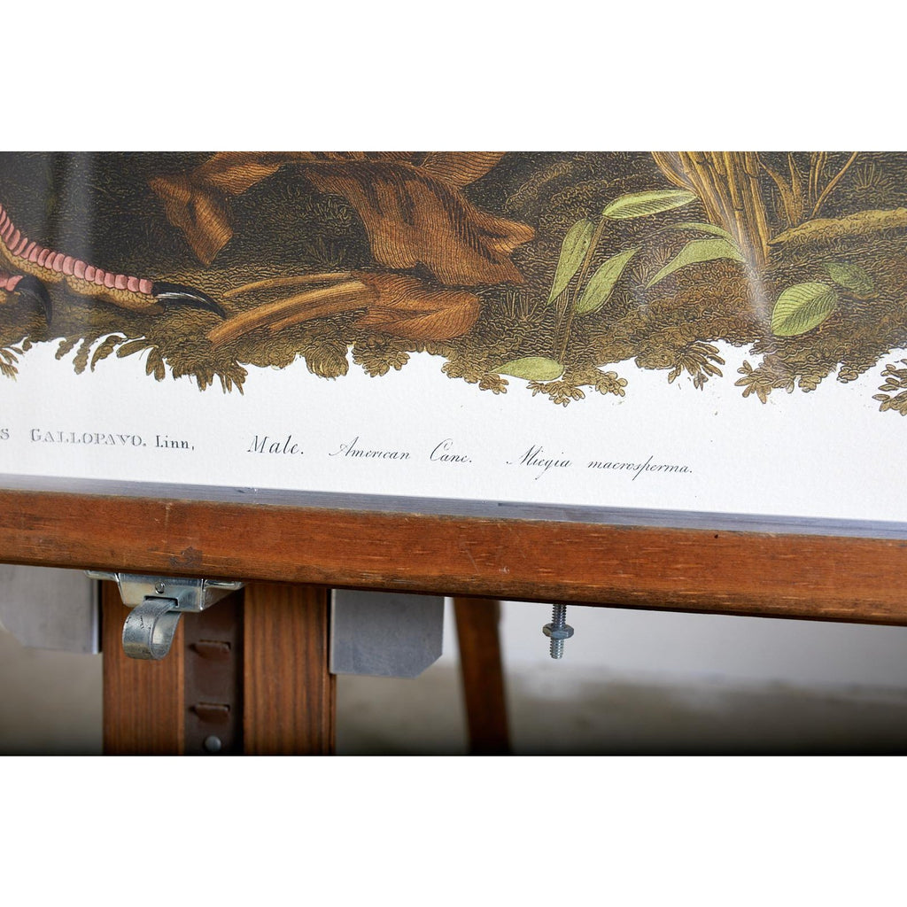 Wild Turkey Plate #1 Havell Oppenheimer Edition