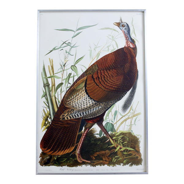 Wild Turkey 木製メモボード　非売品 John James Audubon Wild Turkey Plate #1 Havell Oppenheimer Edition