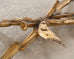 18th Century Italian Rococo Carved Giltwood Console Table