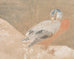 Japanese Showa Two Panel Screen Ducks in Winter Landscape