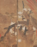18th C. Japanese Edo Two-Panel Screen Pheasants Floral Landscape