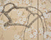Japanese Showa Four Panel Screen Flowering Cherry Blossom
