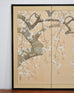 Japanese Showa Four Panel Screen Flowering Cherry Blossom