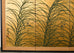 Japanese Showa Four Panel Screen Quail Amid Autumn Grasses