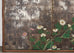 Japanese Edo Six Panel Screen Chrysanthemums on Silver Leaf