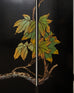 Hollywood Regency Lacquered Coromandel Screen with Banana Leaves
