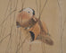 Japanese Taishō/Shōwa Painting Flock of Ducks in Winter Pond