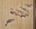 Japanese Taishō/Shōwa Painting Flock of Ducks in Winter Pond