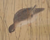 Japanese Taishō/Shōwa Painting Flock of Ducks in Winter Pond