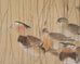 Japanese Taishō/Shōwa Painting Flock of Ducks in Winter Pond