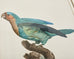 Pair Jacques Barraband Hand Colored Ornithological Bird Prints