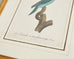 Pair Jacques Barraband Hand Colored Ornithological Bird Prints