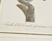 Pair Jacques Barraband Hand Colored Ornithological Bird Prints