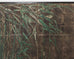 Japanese Meiji Six Panel Screen Bamboo Lily Pond