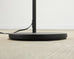 Modern Style Brushed Steel Adjustable Pharmacy Floor Lamp
