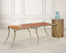 Sylvan S.F. Brass Leather Strap Viper Bench or Cocktail Table