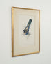 Edward Lear "Brown's Parakeet" Hand-Colored Lithograph 1830s