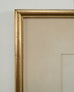 Edward Lear "Brown's Parakeet" Hand-Colored Lithograph 1830s