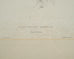 Edward Lear "Brown's Parakeet" Hand-Colored Lithograph 1830s
