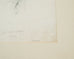Edward Lear "Brown's Parakeet" Hand-Colored Lithograph 1830s