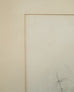 Edward Lear "Brown's Parakeet" Hand-Colored Lithograph 1830s