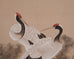 Japanese Style Showa Four-Panel Screen Cranes in Pine Trees