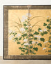 Japanese Edo Four Panel Screen Flowering White Chrysanthemums