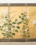 Japanese Edo Four Panel Screen Flowering White Chrysanthemums