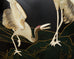 Chinese Export Coromandel Screen Soapstone Landscape with Cranes