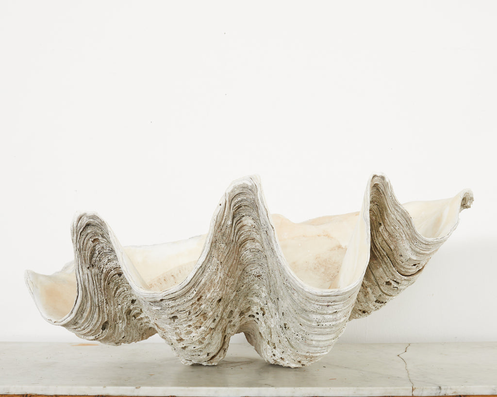 Large Resin Clam Shell - SOUK COLLECTIVE