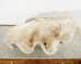 Large Natural South Pacific Giant Clam Shell Specimen