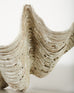 Large Natural South Pacific Giant Clam Shell Specimen