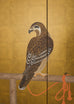 Japanese Showa Two Panel Screen Pair of Tethered Hawks