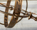 Midcentury Bronze Astrological Armillary Lamp by Frederick Cooper