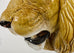 Monumental Italian Majolica Glazed Ceramic Lions Head