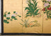 Pair of Japanese Meiji Screens Blossoms of Spring, Summer and Autumn