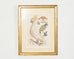 Albertus Seba Pair Hand Colored Ornithological Bird Prints