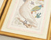 Albertus Seba Pair Hand Colored Ornithological Bird Prints