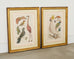 Albertus Seba Pair Hand Colored Ornithological Bird Prints